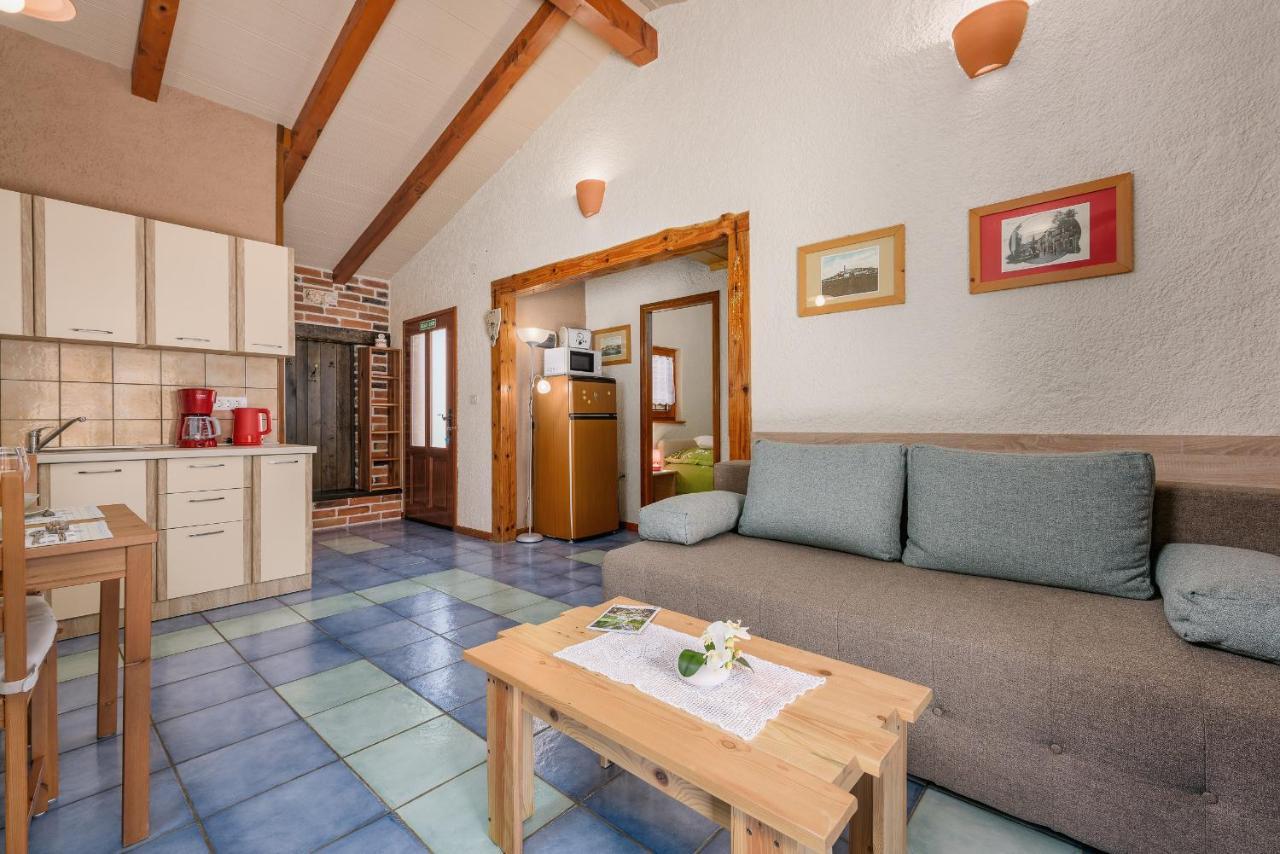 Apartment With Pool Visnjan Bagian luar foto